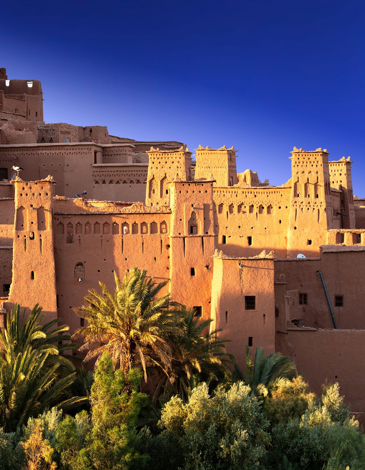 Welt-Dia-Vision Festival